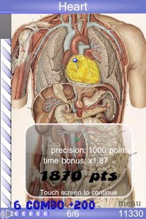 Speed Anatomy Quiz Free