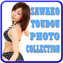 Sawako Toudou Photographs 3rd logo