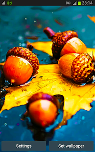 Free Autumn Rain Live Wallpapers APK