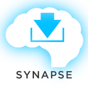 Vocabulary Synapse Demo logo