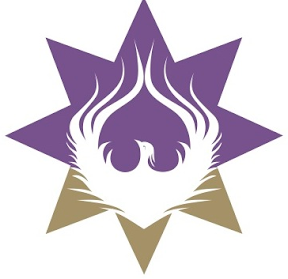 Morningstar Centrul Holistic logo