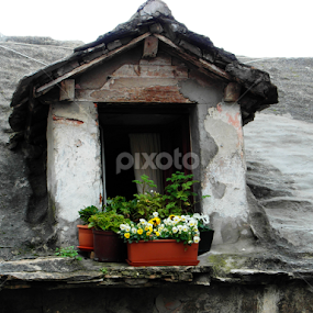 Old house window detail by Bepina Spužvasta - Buildings & Architecture Architectural Detail