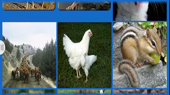 animal sounds Screenshots 1