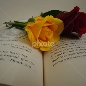 by Deepti Rokade - Flowers Flower Arangements