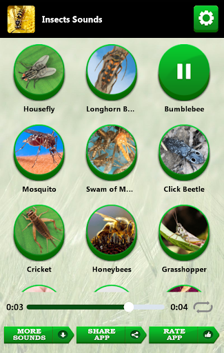 免費下載音樂APP|Insects Sounds app開箱文|APP開箱王