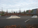 Skate Park and Basketball Court