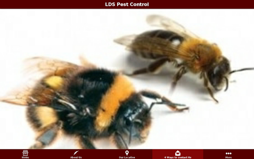 免費下載商業APP|LDS Pest Control app開箱文|APP開箱王