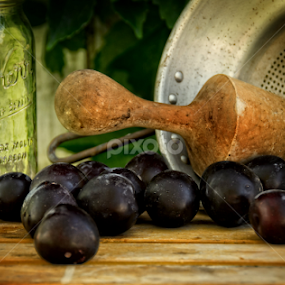 Canning by Tammy Arruda - Artistic Objects Still Life