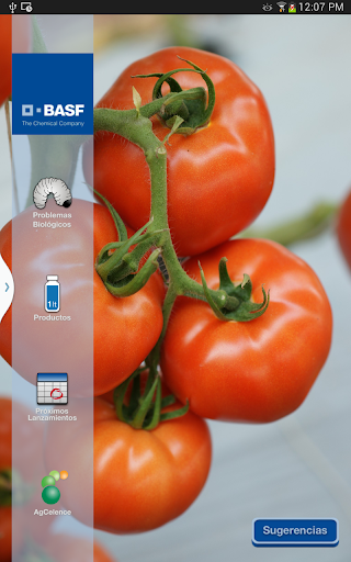 【免費商業App】BASF México-Cultivo del Tomate-APP點子