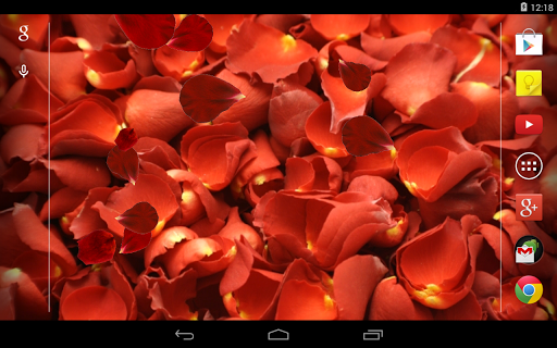 【免費個人化App】Rose petals Live Wallpaper-APP點子