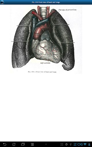 免費下載醫療APP|Gray's Anatomy 2011 app開箱文|APP開箱王