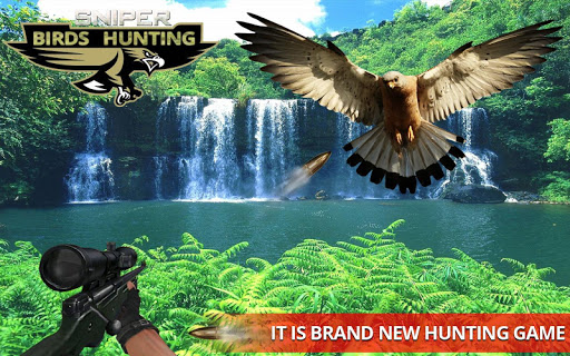 Jungle Sniper Birds Hunting 3D