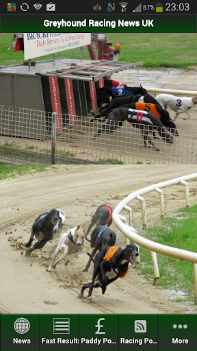 Greyhound Racing News UK