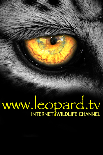 Leopard TV