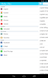 Rebin Dictionary - Kurdish poster 12