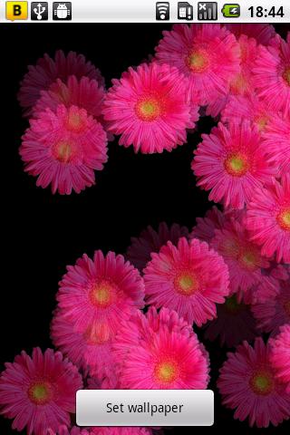 Pink Flower Live Wallpaper Screen 2