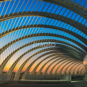 Sunset Arches by Lynn Wiezycki - Buildings & Architecture Architectural Detail