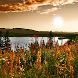 Warm Light by John Phielix -  