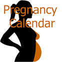 Pregnancy Calendar logo