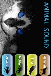 How to mod Animal Sound patch 1.0 apk for bluestacks