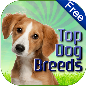 Dog Breeds Easy Pet Finder 1.0