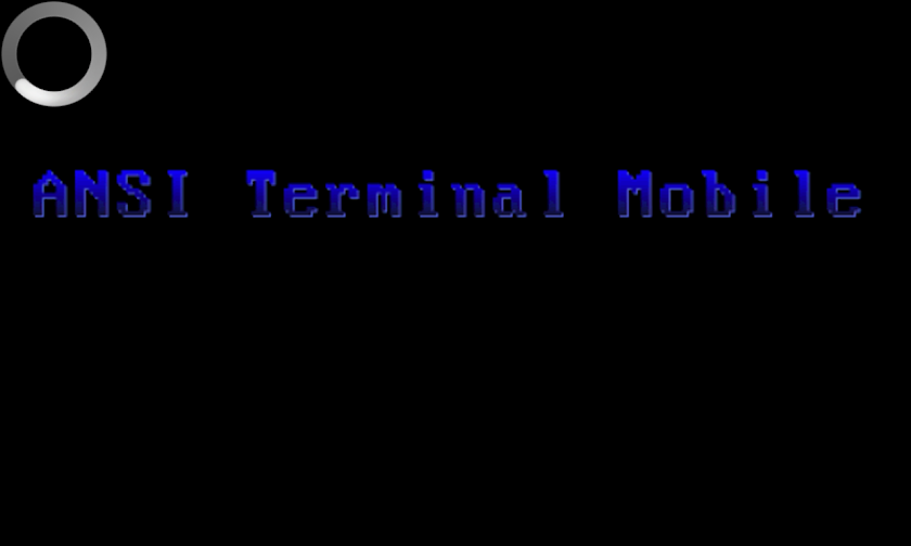 ANSI Terminal Mobile Screen 1