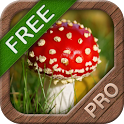 Mushrooms FREE logo