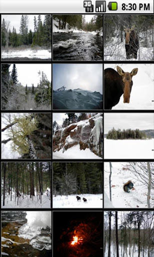 Algonquin Park Seasons Winter