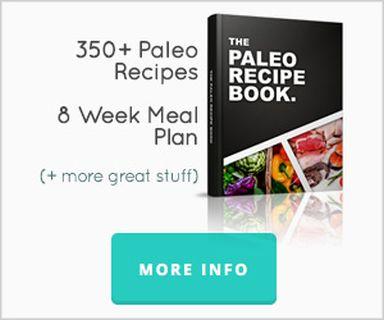 Over 350 Paleo Recipes