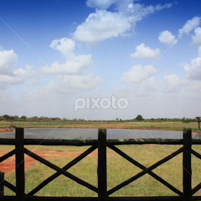Watering Hole by John Cooper - Landscapes Travel