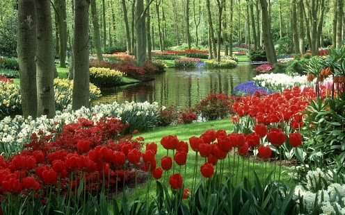 How to get Spring Flowers Wallpaper 1.01 unlimited apk for bluestacks