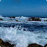 Ocean Waves Live Wallpaper 592.0