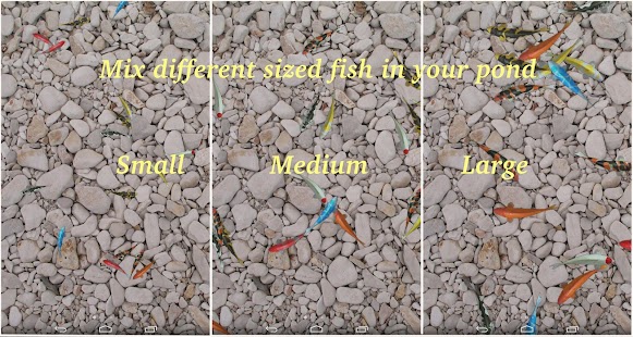 download Water Pool Live Wallpaper free