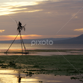 Late afternoon at Taal Lake by Cesar Cambay - Landscapes Waterscapes