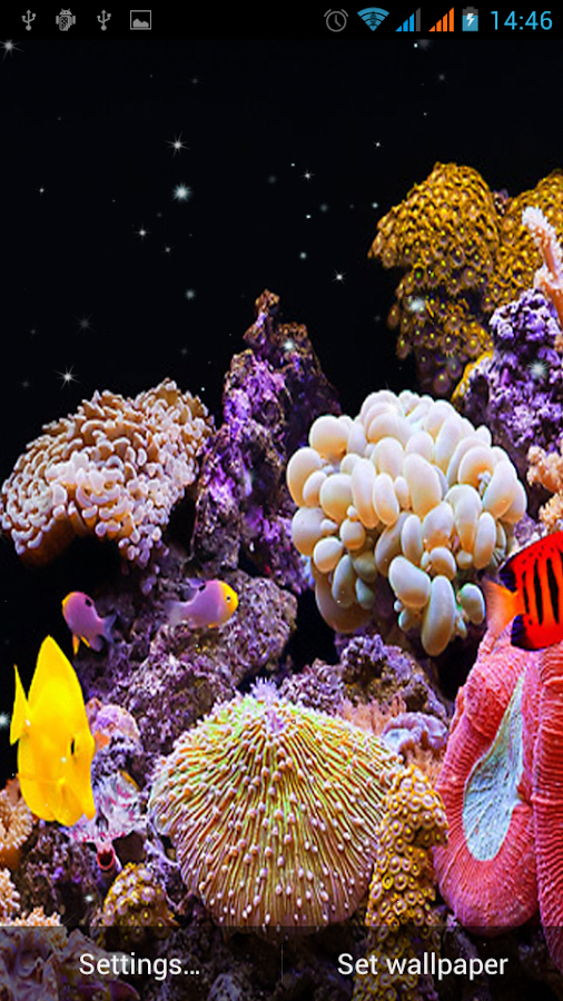 Aquarium Live Wallpaper - screenshot