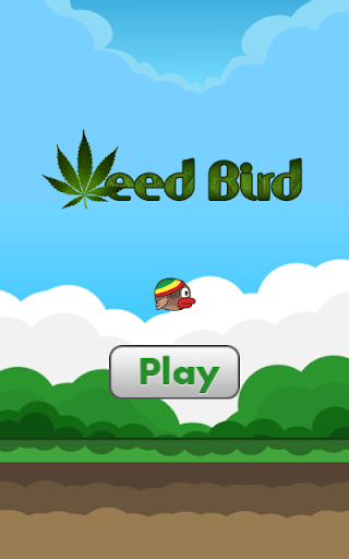 免費下載冒險APP|Weed Bird app開箱文|APP開箱王