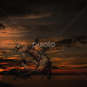 by Christopher Barker - Digital Art Abstract