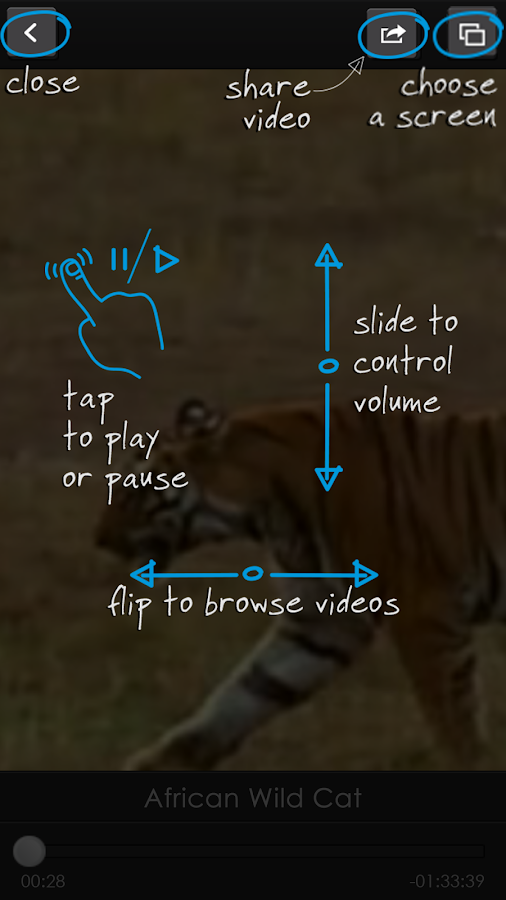 iMediaShare HD - screenshot