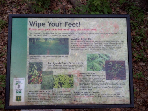 Wipe Your Feet
