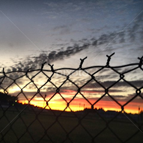 barbed skies by Meghan Spalding - Landscapes Sunsets & Sunrises