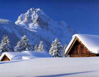 Download Winter Wallpaper APK