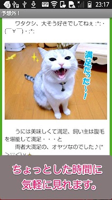 日刊ねこ新聞-猫情報まとめのおすすめ画像2