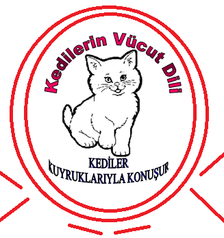 Kedilerin Vücut Dili