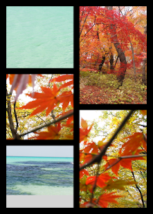 Free Download Photo Frame Collage - PRO APK for Android