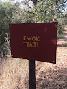 Ewok Trail