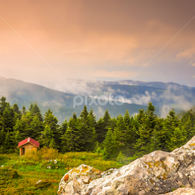 Dağ Evleri by Ahmet Çamaltı - Landscapes Forests