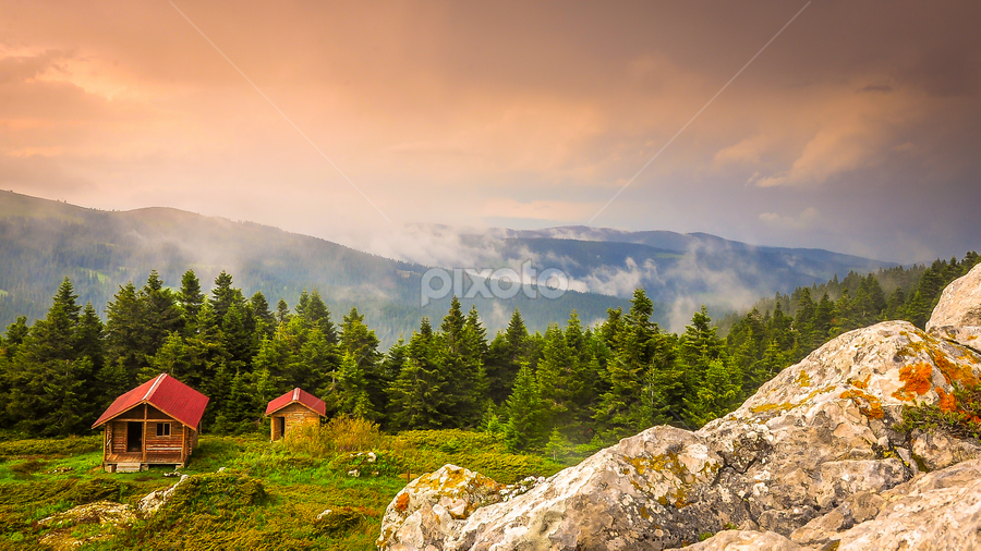 Dağ Evleri by Ahmet Çamaltı - Landscapes Forests