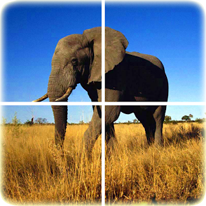 Animal Puzzle 1.1.1