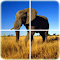 astuce Animal Puzzle jeux