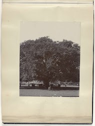 Twee kinderen poserend voor een grote boom in een park in Nederlands-Indië